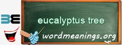 WordMeaning blackboard for eucalyptus tree